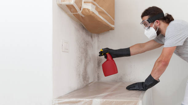 Professional Basement Mold Remediation technician working in Lake Hopatcong, NJ